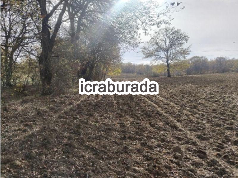 icralık  m2 Tarla Bilecik Söğüt Kepen