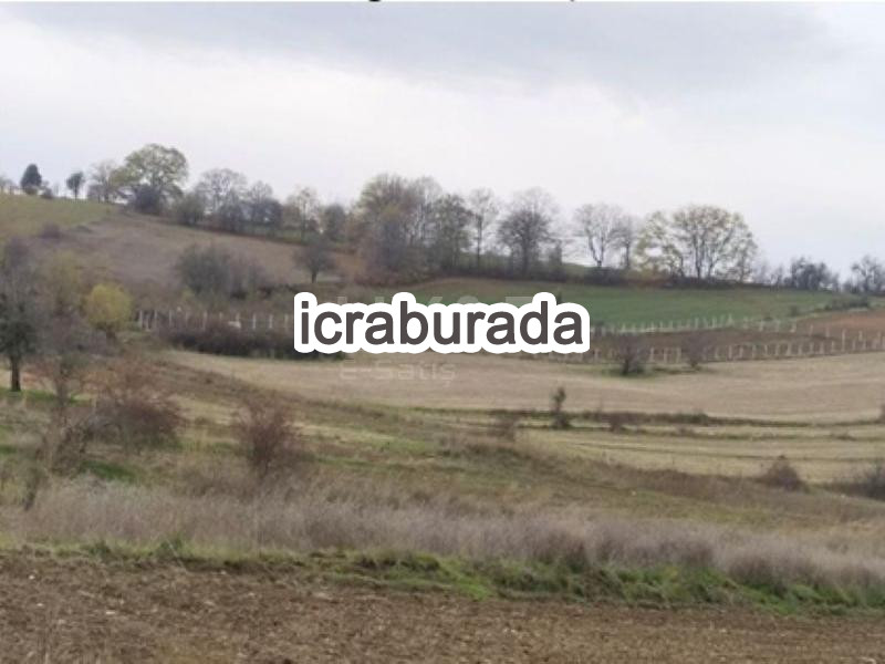 icralık  m2 Tarla Bilecik Söğüt Kepen