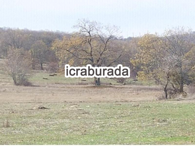 icralık  m2 Tarla Bilecik Söğüt Kepen