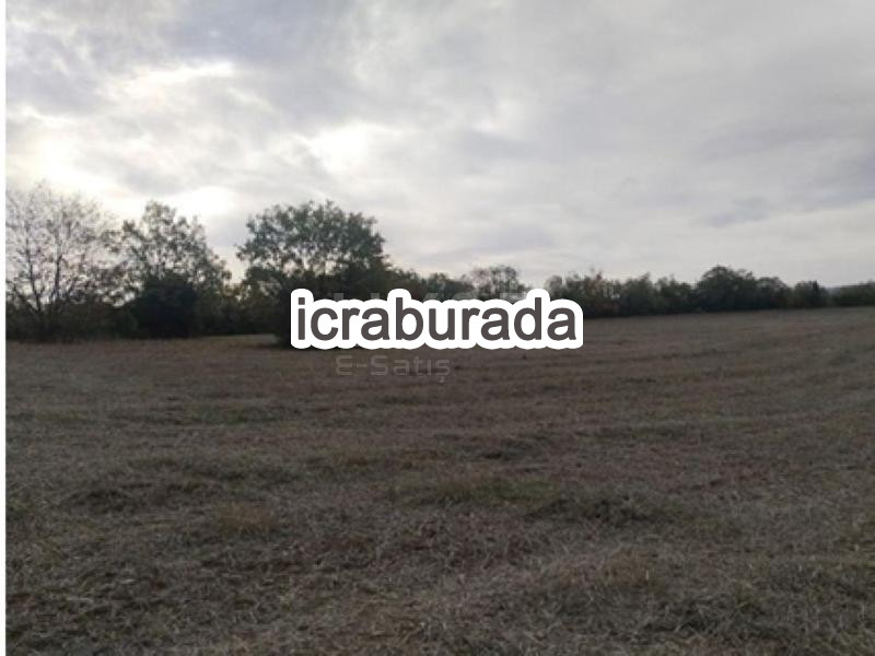icralık  m2 Tarla Bilecik Söğüt Dereboyu