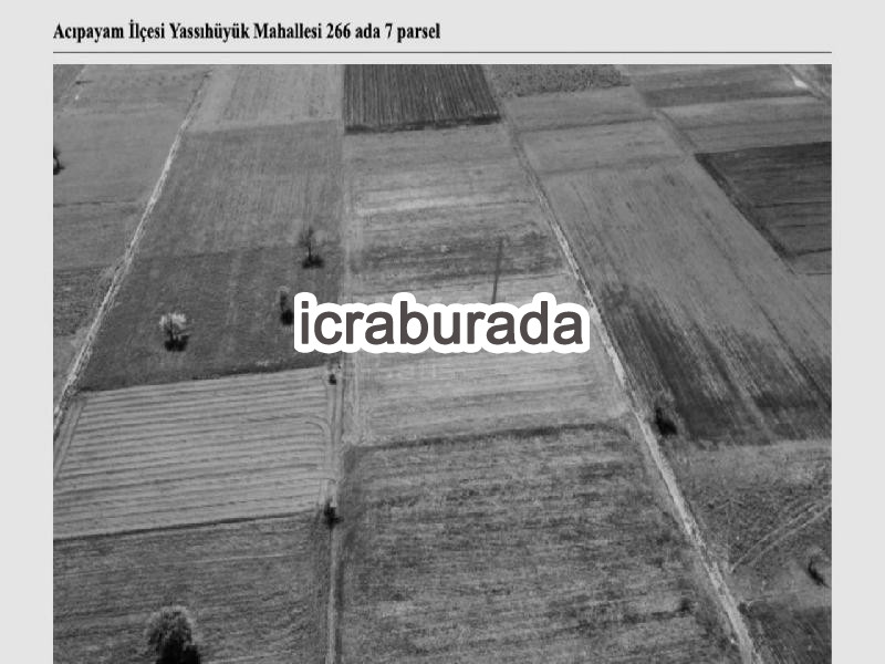 icralık  m2 Tarla Denizli Acıpayam Yassihüyük