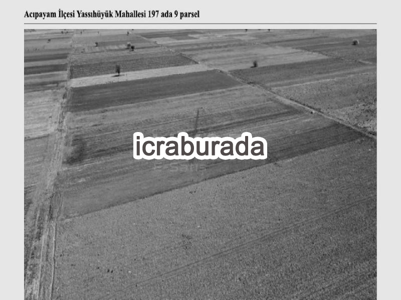 icralık  m2 Tarla Denizli Acıpayam Yassihüyük