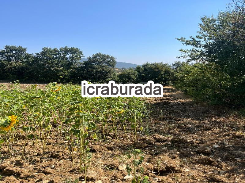 icralık  m2 Tarla Balıkesir Dursunbey Hacilar