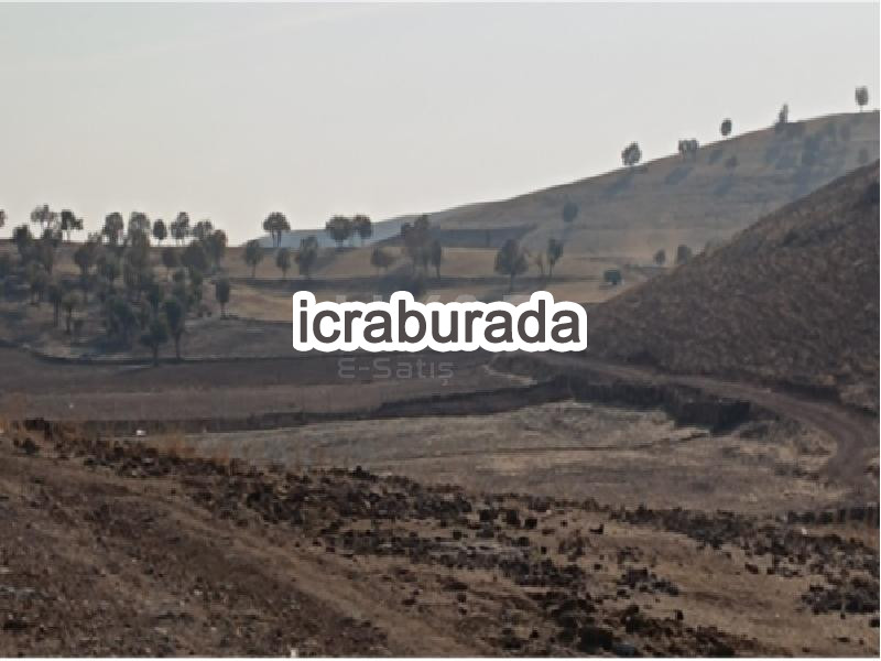 icralık  m2 Tarla Mardin Savur İşgören