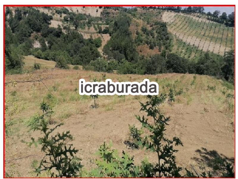 icralık  m2 Tarla Manisa Gördes Beğel