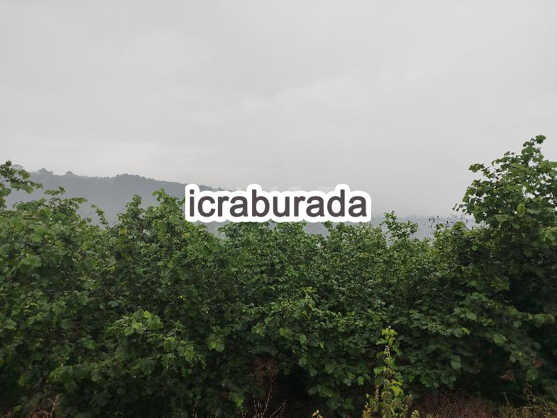 icralık  m2 Tarla Sakarya Hendek Kazimiye