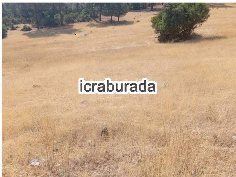 icralık  m2 Tarla Belirtilmedi Belirtilmedi Belirtilmedi