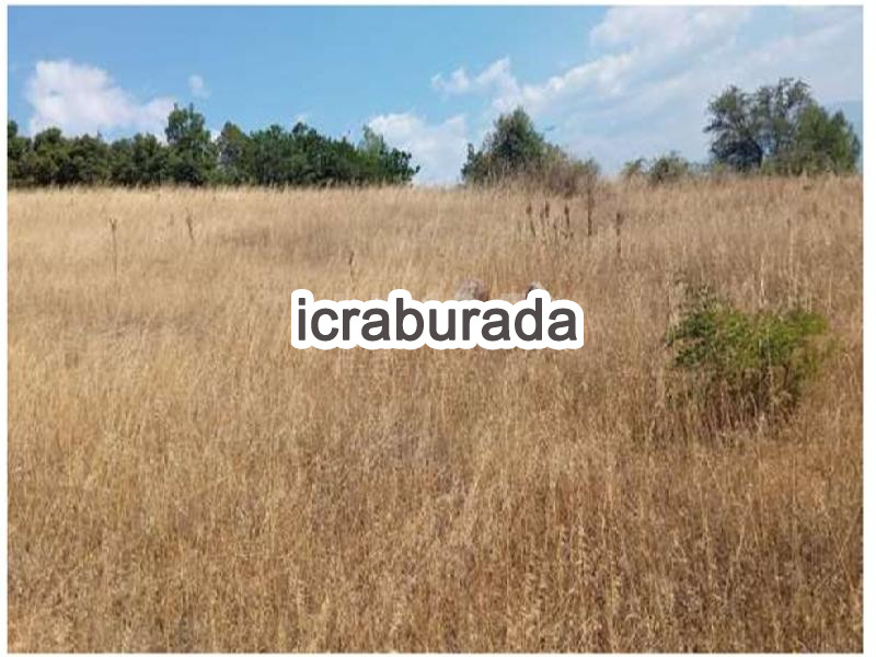icralık  m2 Tarla Belirtilmedi Belirtilmedi Belirtilmedi