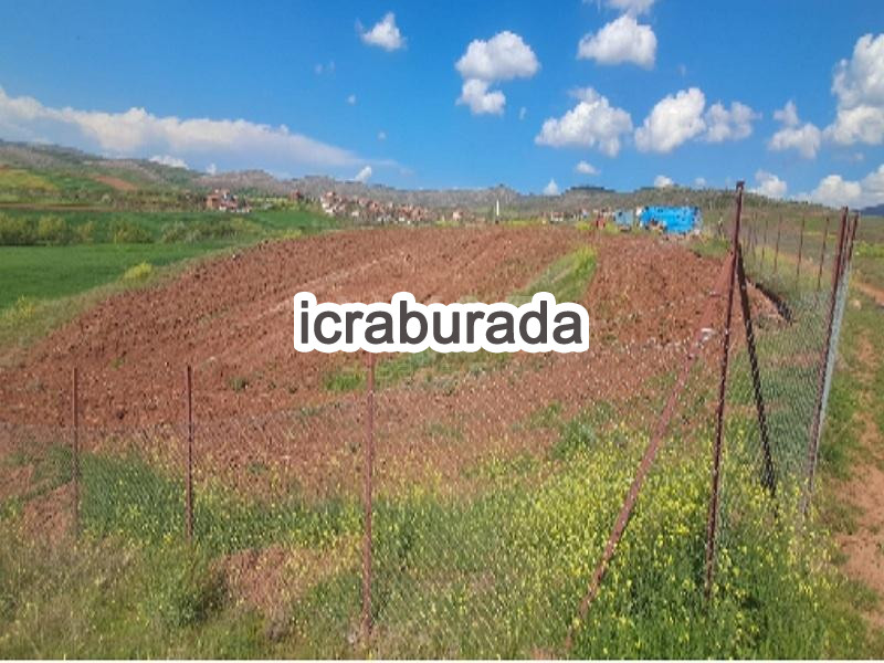 icralık  m2 Tarla Çorum Sungurlu Büyükpolatli