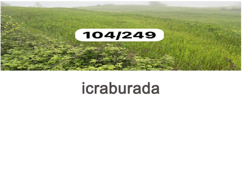 icralık  m2 Tarla Sinop Merkez Yali