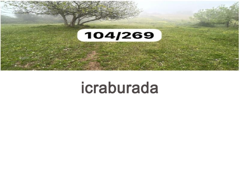 icralık  m2 Tarla Sinop Merkez Yali