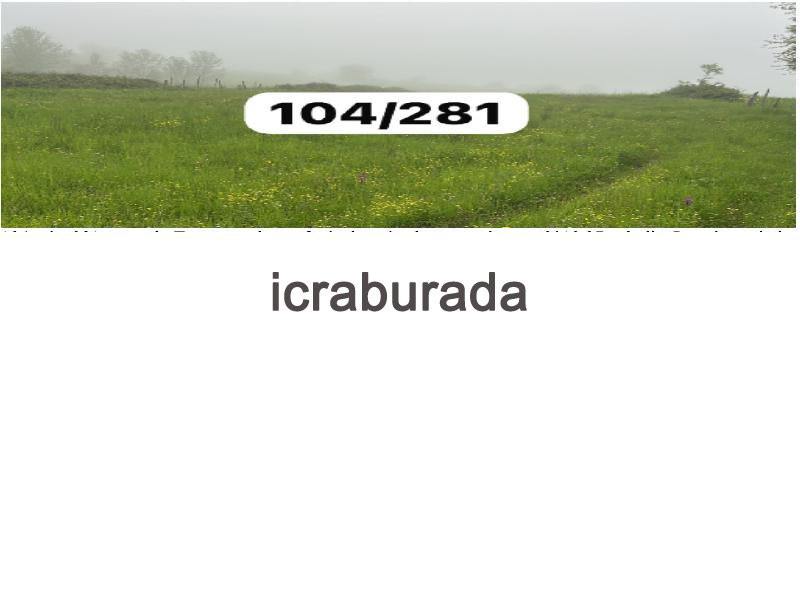 icralık  m2 Tarla Sinop Merkez Yali