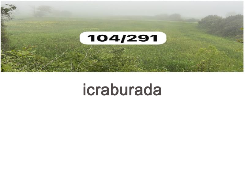 icralık  m2 Tarla Sinop Merkez Yali