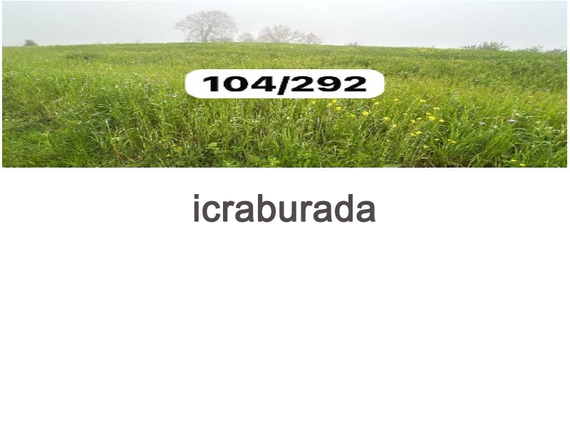 icralık  m2 Tarla Sinop Merkez Yali