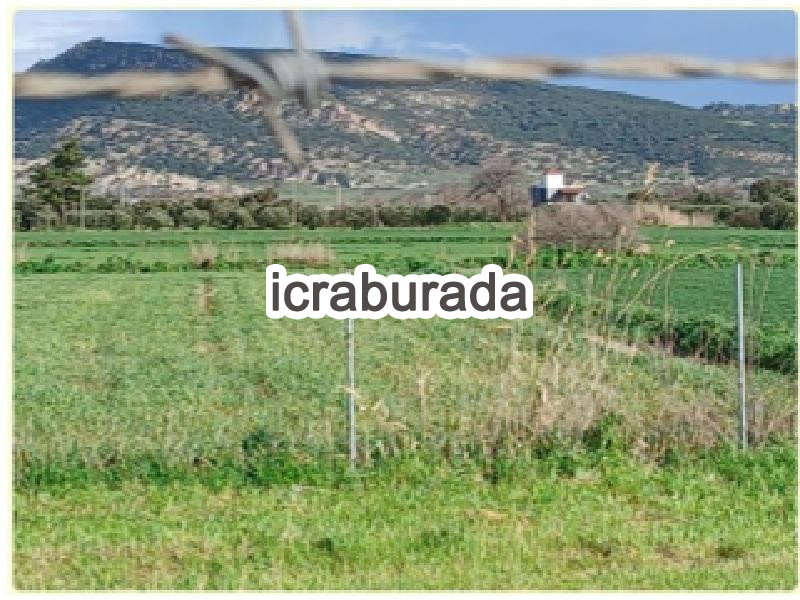 icralık  m2 Tarla İzmir Foça Haciveli