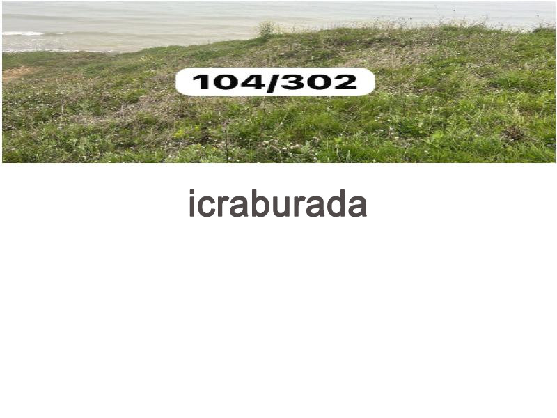 icralık  m2 Tarla Sinop Merkez Yali