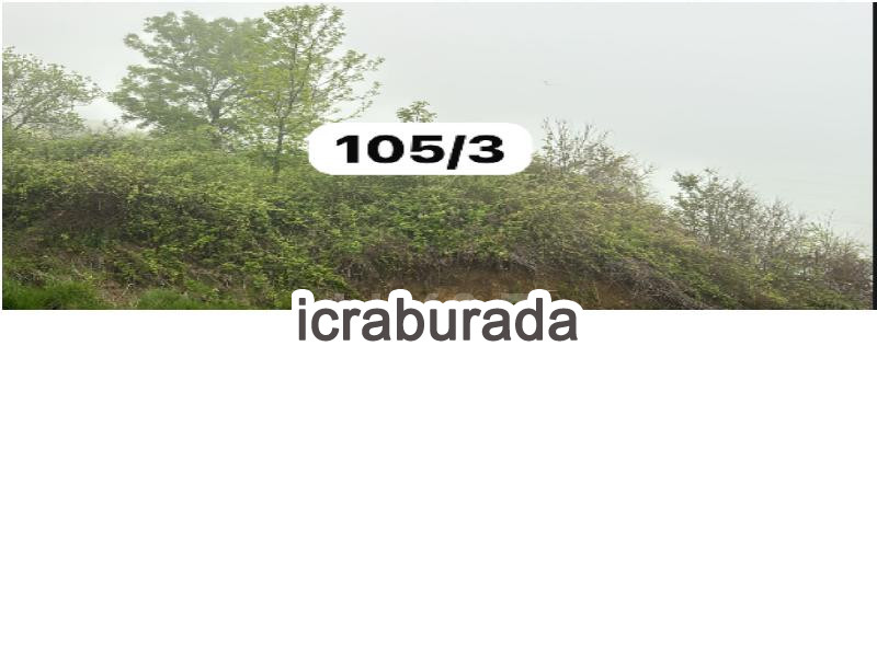 icralık  m2 Tarla Sinop Merkez Yali