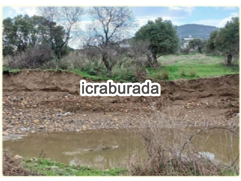 icralık  m2 Tarla İzmir Foça Bağarasi
