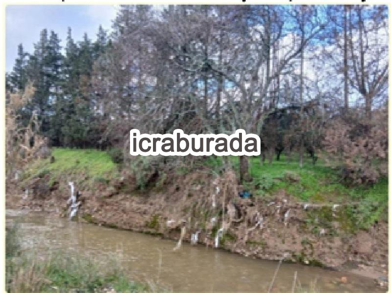 icralık  m2 Tarla İzmir Foça Bağarasi