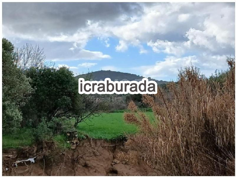 icralık  m2 Tarla İzmir Foça Bağarasi