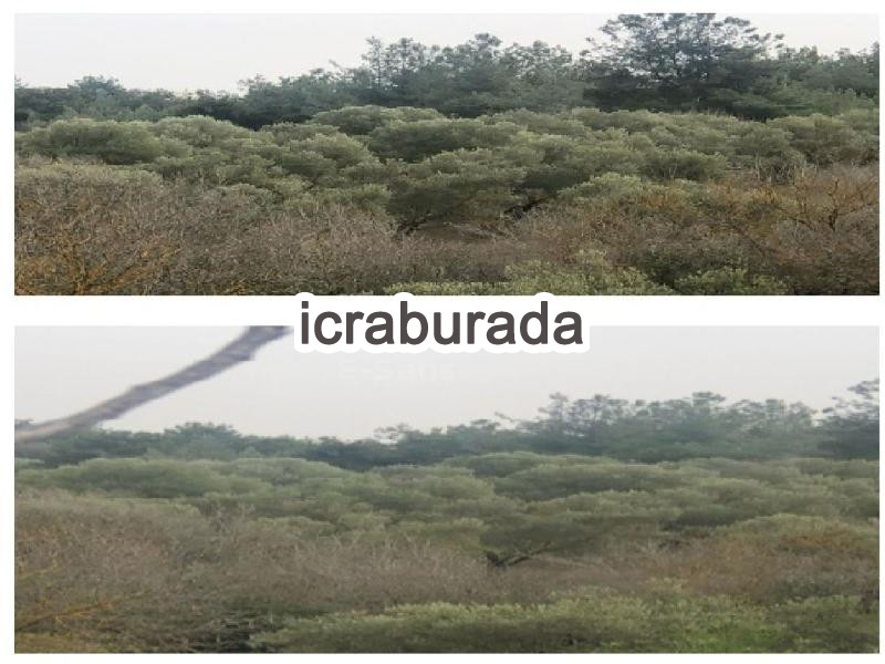 icralık  m2 Tarla İzmir Kınık Sucahli