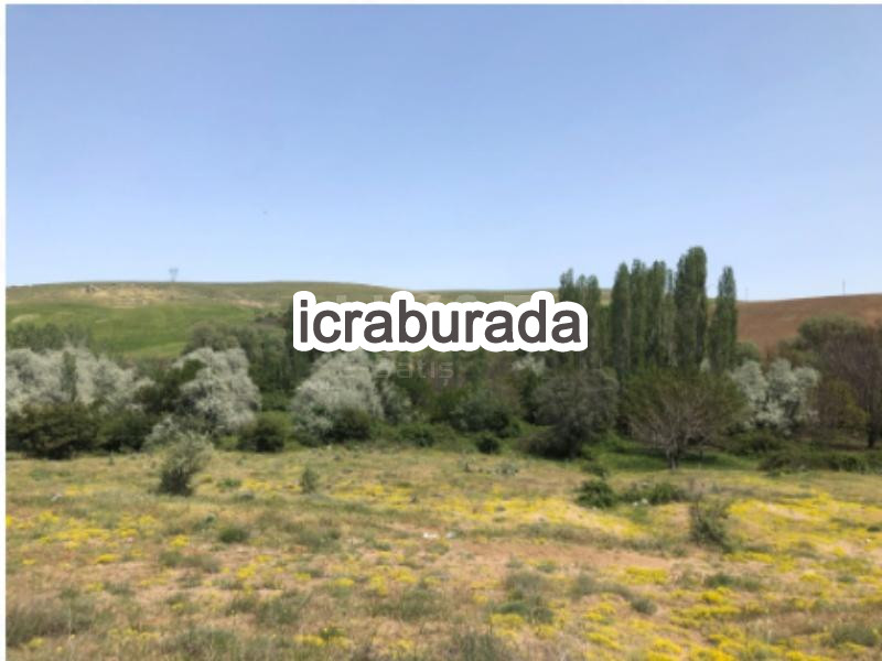 icralık  m2 Tarla Aksaray Ağaçören Yurtsever