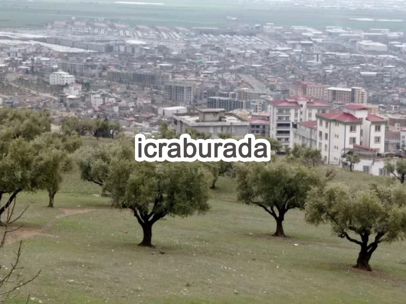 icralık  m2 Arsa Kahramanmaraş Dulkadiroğlu Dereli