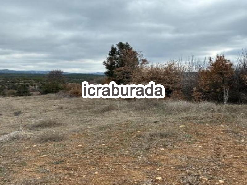 icralık  m2 Tarla Denizli Baklan Boğaziçi