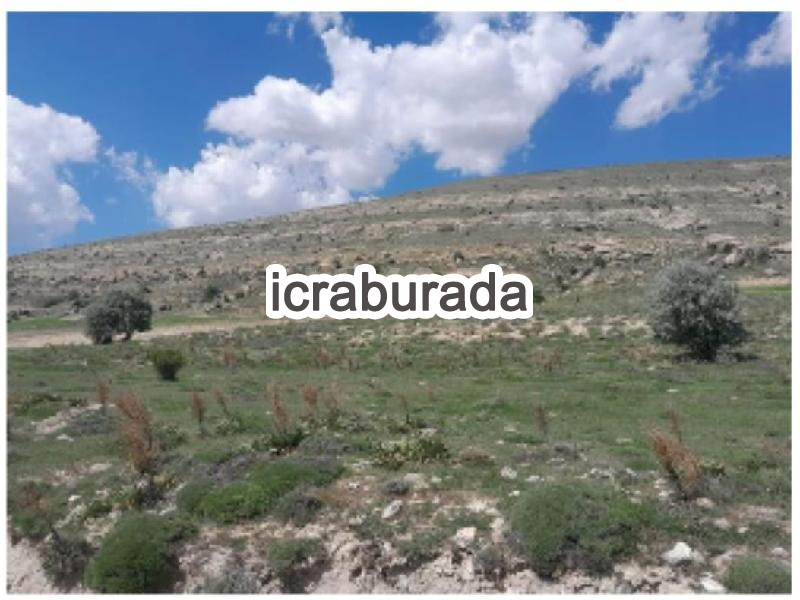 icralık  m2 Tarla Mersin Mut Çivi