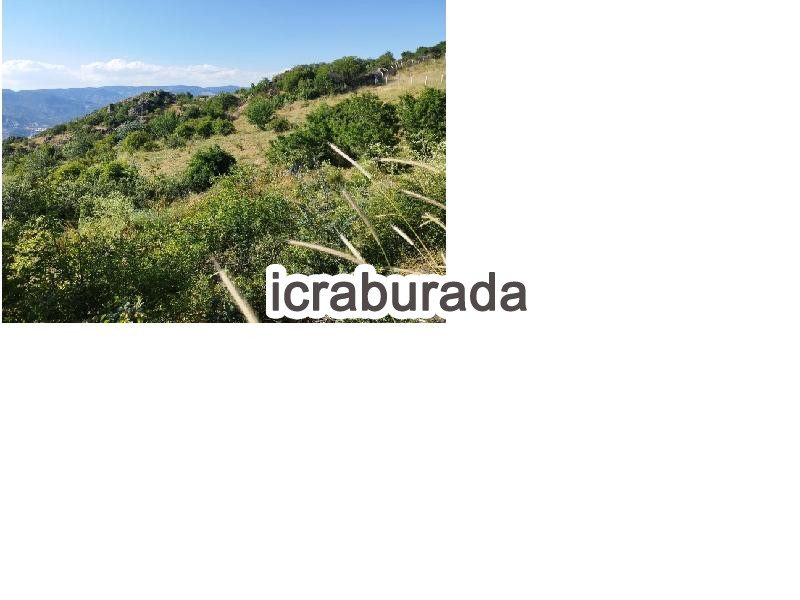 icralık  m2 Tarla Ankara Kızılcahamam Binkoz