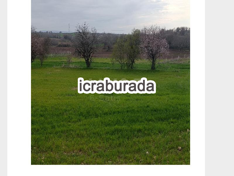 icralık  m2 Tarla Kırklareli Merkez Üsküp/gündoğdu