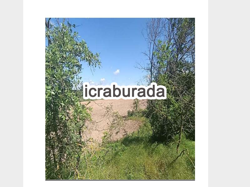 icralık  m2 Tarla Kırklareli Merkez Üsküpdere