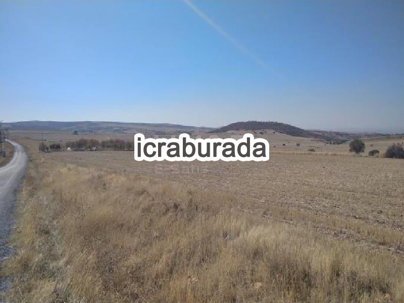 icralık  m2 Tarla Yozgat Merkez Azizli Bağlari