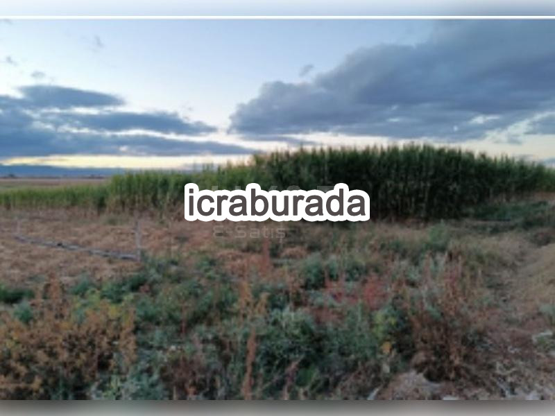 icralık  m2 Tarla Belirtilmedi Belirtilmedi Belirtilmedi