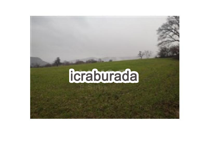 icralık  m2 Tarla Balıkesir Sındırgı Yüreğil/merkez