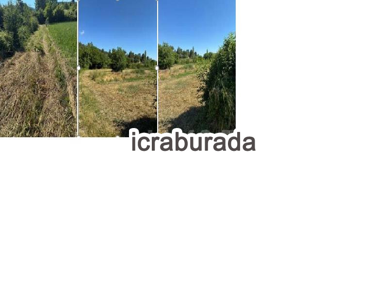 icralık  m2 Tarla Denizli Honaz Aşağikaraçay