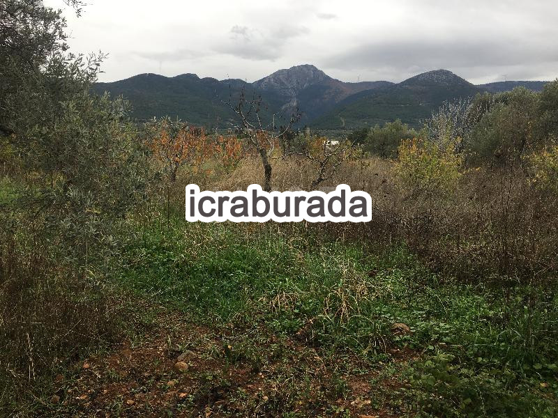 icralık  m2 Tarla İzmir Kemalpaşa Dereköy