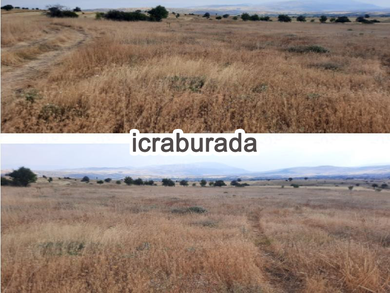 icralık  m2 Tarla Isparta Yalvaç Ayvali