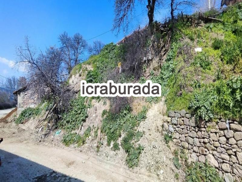 icralık  m2 Tarla İzmir Bergama Çeltikçi