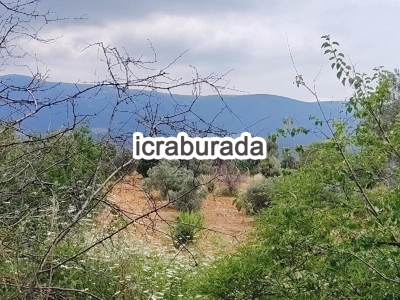 icralık  m2 Bag İzmir Kemalpaşa Yenmiş