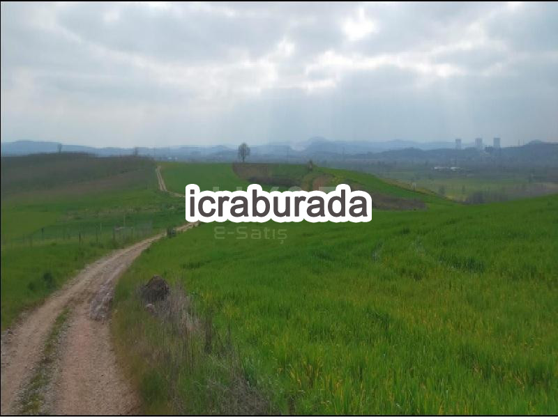 icralık  m2 Tarla Sakarya Adapazarı Karadere