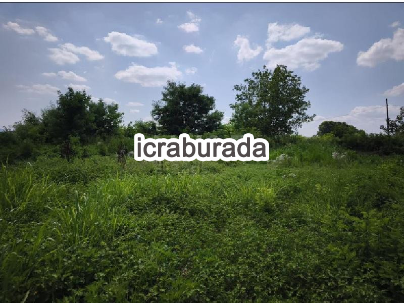icralık  m2 Tarla Sakarya Arifiye Çaybaşifuadiye