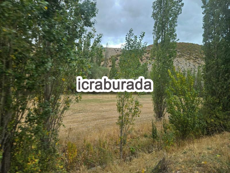 icralık  m2 Tarla Sivas Gemerek Eşikli