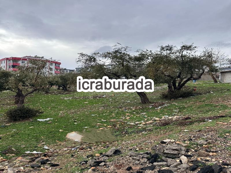 icralık  m2 Arsa Kahramanmaraş Dulkadiroğlu Aslanbey