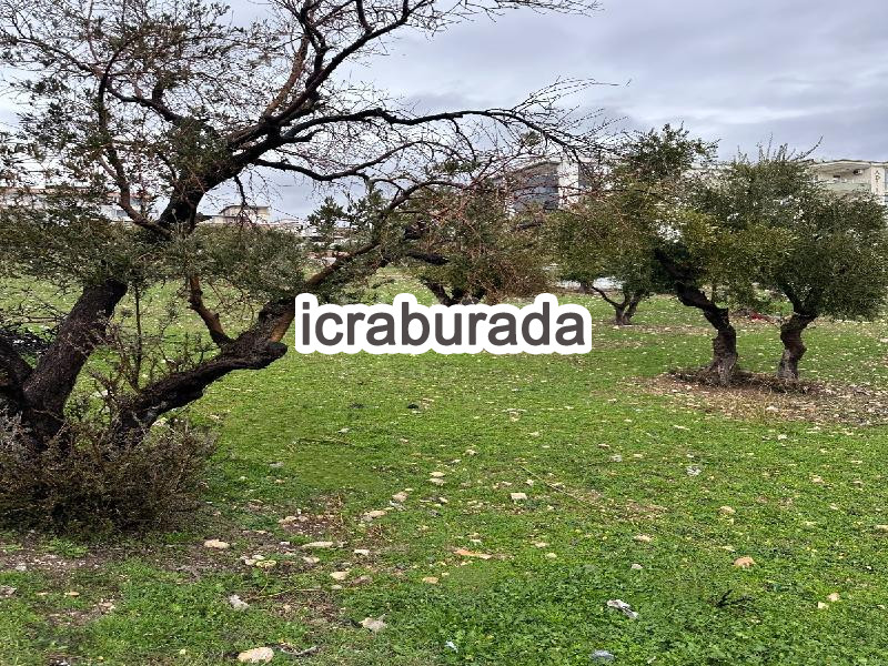 icralık  m2 Arsa Kahramanmaraş Dulkadiroğlu Aslanbey