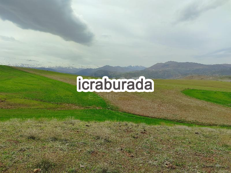 icralık  m2 Tarla Kahramanmaraş Ekinözü Kandil