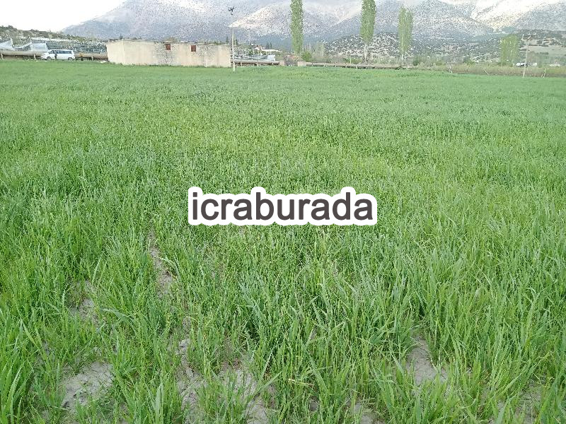 icralık  m2 Tarla Antalya Elmalı Karyağdi