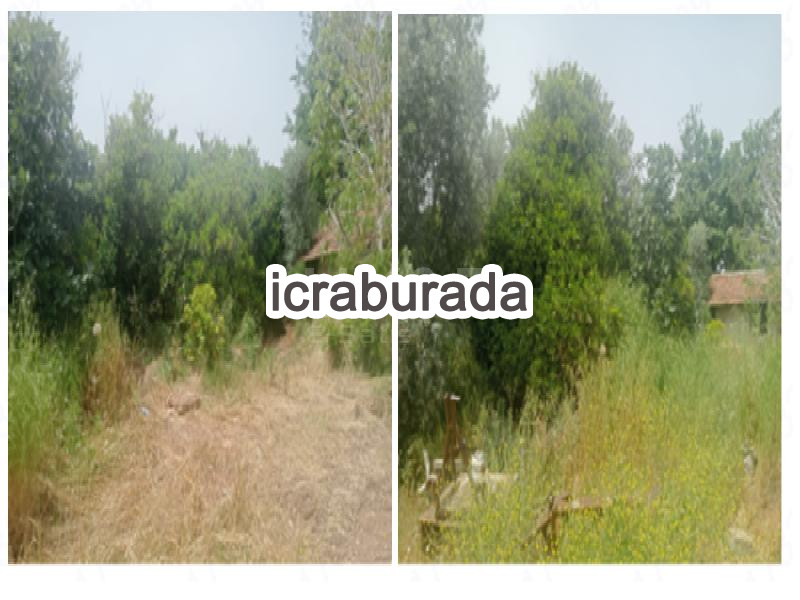 icralık  m2 Tarla Antalya Serik Aşağikocayatak