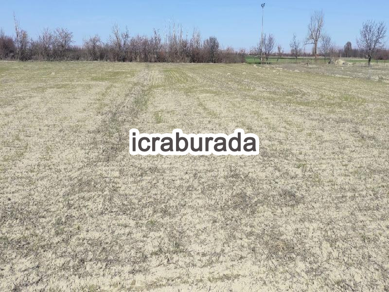 icralık  m2 Tarla Konya Akşehir Doğrugöz/merkez