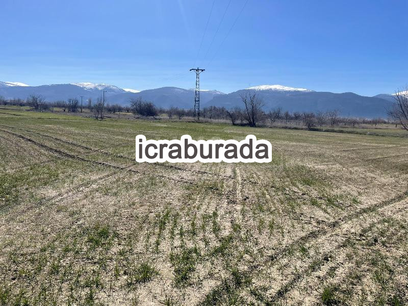 icralık  m2 Tarla Konya Akşehir Doğrugöz/merkez